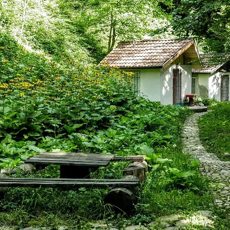 The Water Mill Yamna