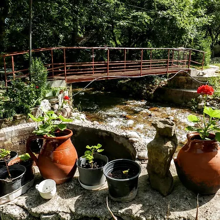 The Water Mill * Yamna