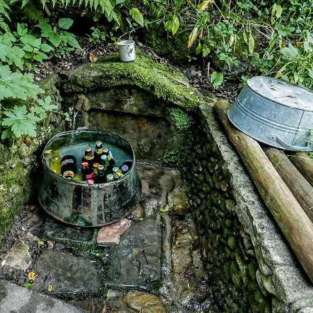 The Water Mill