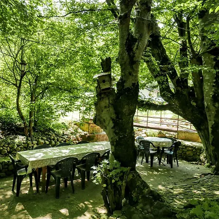 The Water Mill * Yamna