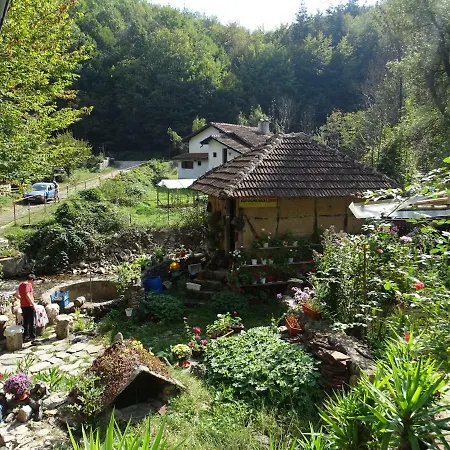 The Water Mill * Yamna
