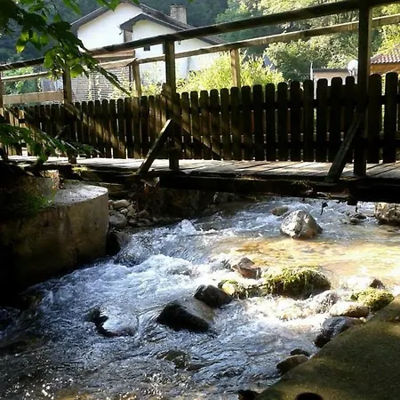 The Water Mill * Yamna