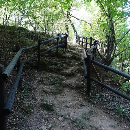 The Water Mill